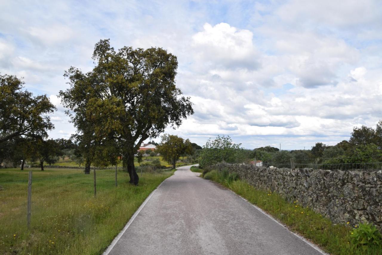 Hébergement de vacances Casinha Da Povoa -turismo Aldeia Castelo de Vide